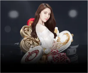 Biểu đồ minh họa các loại cookie khác nhau được sử dụng bởi VN69 Login
